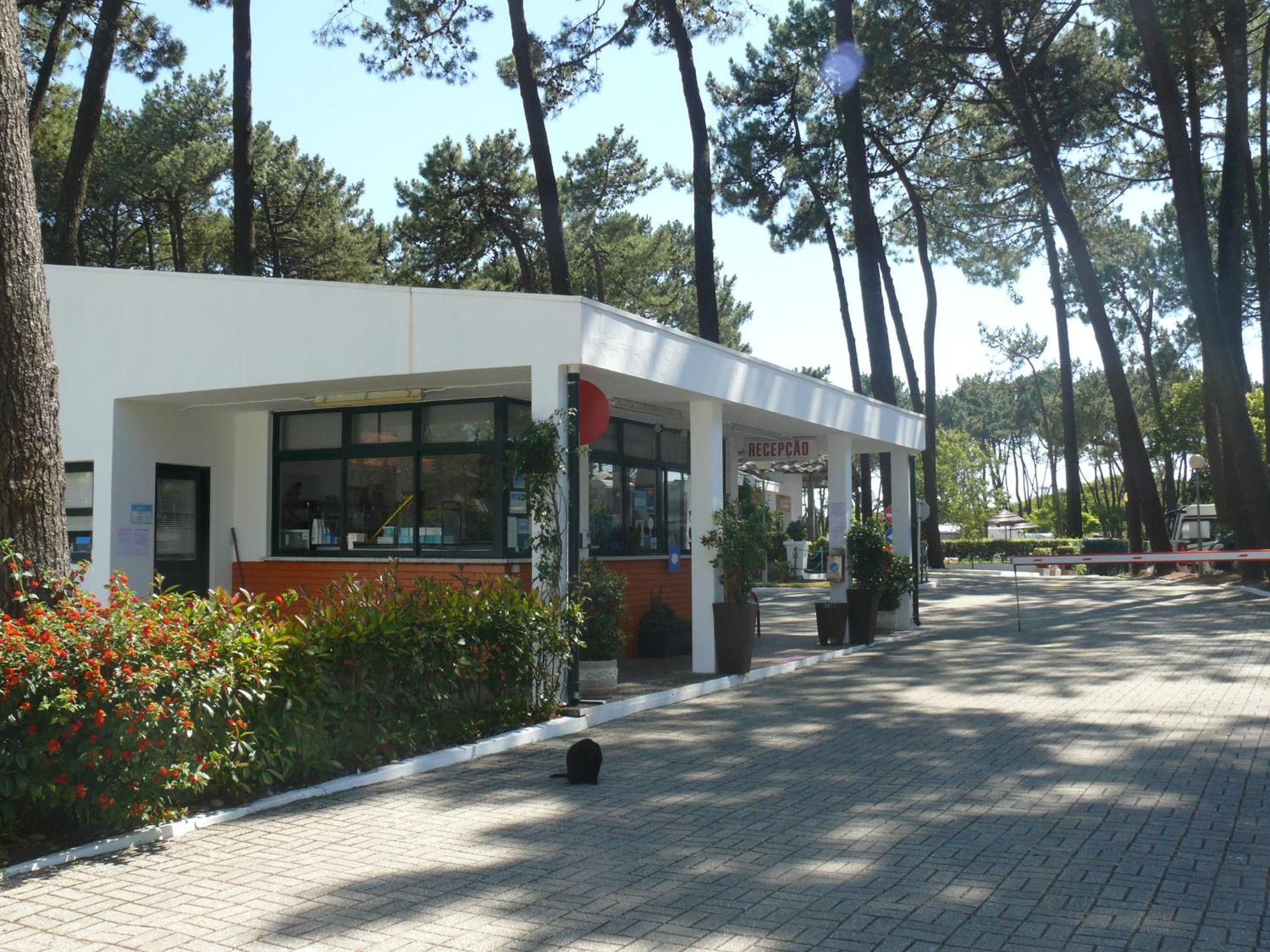 Parque De Campismo Orbitur Viana Do Castelo Hotell Exteriör bild